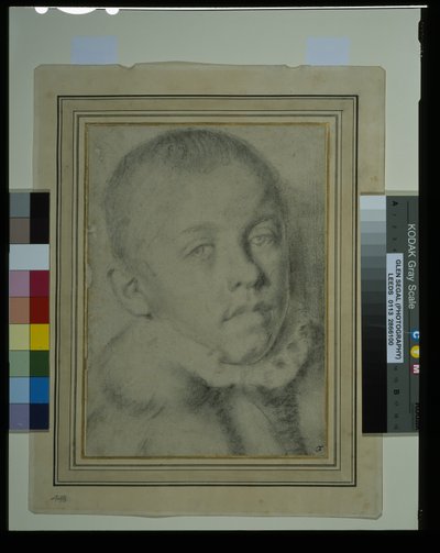 Nuoren pojan muotokuva (musta liitu ja hiili paperilla) tekijältä Annibale (follower of) Carracci