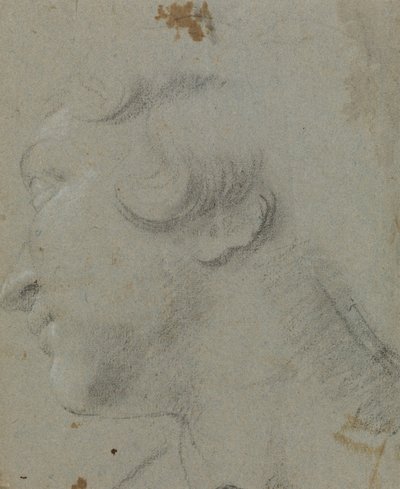 Carracci - r Pyhän Katariinan pää, RCIN 902115 tekijältä Annibale Carracci