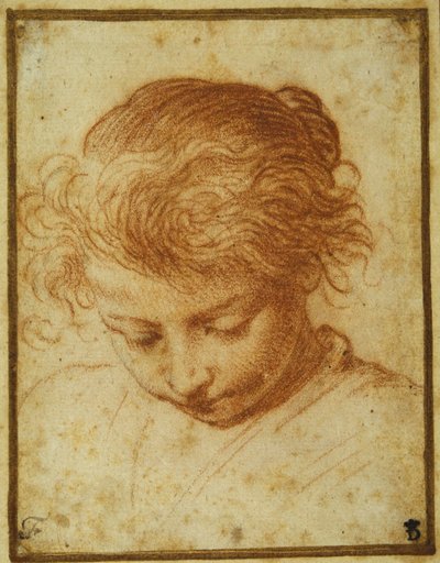 Nuoren tytön pää, joka katsoo alaspäin (punainen liitu kermapaperilla) tekijältä Annibale Carracci