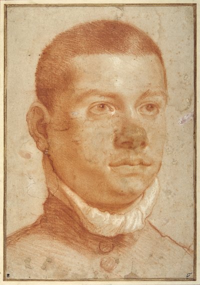 Nuoren miehen muotokuva (punainen liitu) tekijältä Annibale Carracci