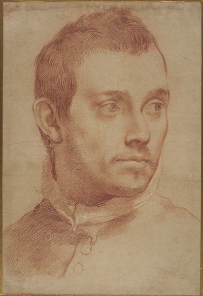 Nuoren miehen muotokuva tekijältä Annibale Carracci