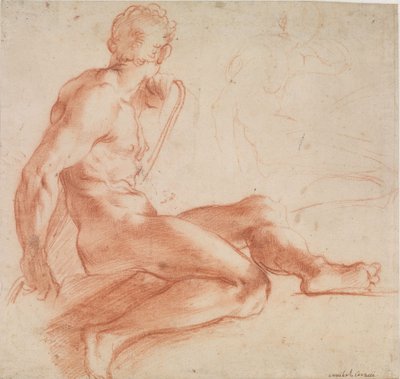 Sitzender männlicher Akt tekijältä Annibale Carracci