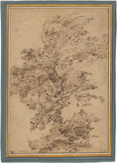 Studie eines Baumes tekijältä Annibale Carracci