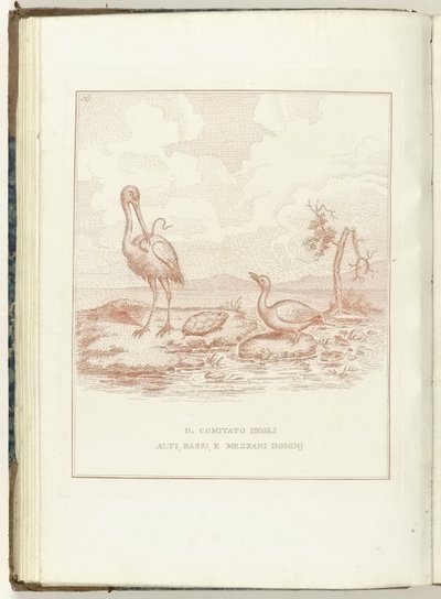Comité van Hoge, Lage en Middelbare Heerlijkheden, 1795 Alti-, Bassi- ja Mezzani Domini -komitea (kohteen otsikko) Hollandia Regenerata (Italyanse kopie) (sarjan nimi) Hollannin uudestisyntyminen: spechio kaikille uudestisyntyneille kansoille (sarja t tekijältä Anonymous
