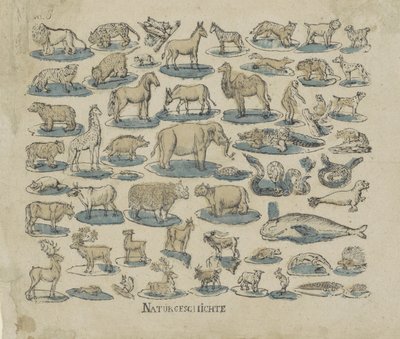 palvelijat Natural History (otsikko esineessä) tekijältä Anonymous
