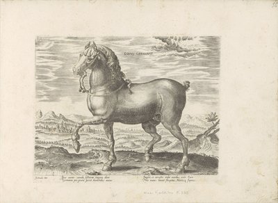 Duits paard saksalainen hevonen (otsikko esineessä) Paardenrassen uit de Koninklijke stallen van Don Juan van Oostenrijk (sarjan nimi) Hevonen, jossa kaikenlaisia ​​aatelisia: eri puolilta maailmaa erottuneiden hevosten käyttäytyminen valittu (...) (sarjan tekijältä Anonymous