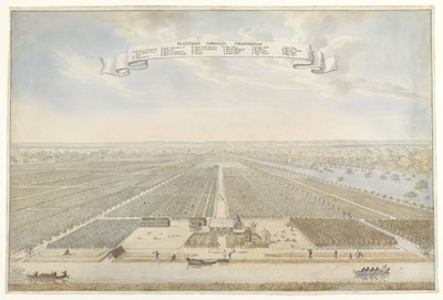 Näkymä Cornelis Vriendschap -viljelmälle Surinamessa Plantation Cornelis Friendship (otsikko esineessä) tekijältä Anonymous