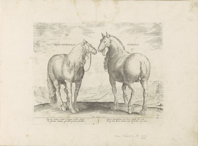 Hengst en merrie uit Rooma Roman Matronal Horse (otsikko esineessä) Paardenrassen uit de Koninklijke stallen van Don Juan van Oostenrijk (sarjan nimi) Hevonen, jossa kaikenlaisia ​​aatelisia: eri puolilta maailmaa valittujen hevosten käyttäytyminen eroteta tekijältä Anonymous