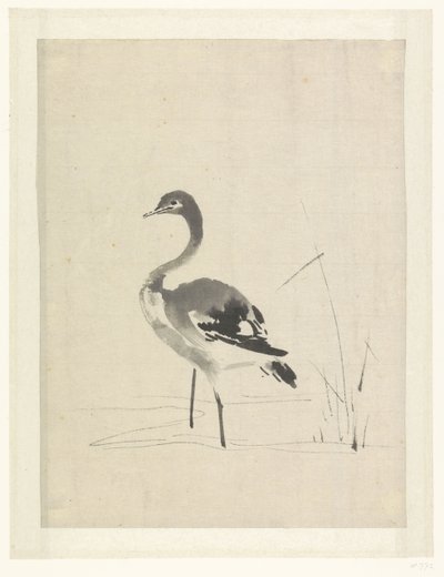 Nuori Crane tekijältä Anonymous