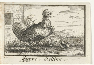 Kana kanan kanssa Henna, Gallina. (otsikko esineessä) tekijältä Anonymous