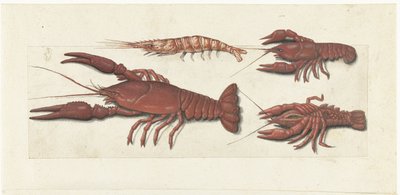 Langoustine, kaksi rapua ja katkarapua Lombard-albumi (sarjan nimi) tekijältä Anonymous