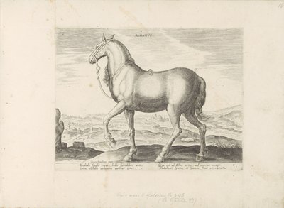 Paard uit Albania Albanus (otsikko esineessä) Paardenrassen uit de Koninklijke stallen van Don Juan van Oostenrijk (sarjan nimi) Hevonen, jossa kaikenlaisia ​​aatelisia: eri puolilta maailmaa erottuneiden hevosten käyttäytyminen valittu (...) (sarjan nimi  tekijältä Anonymous