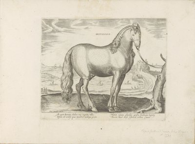 Paard uit Bretagne (Britannia) brittiläinen (otsikko esineessä) Paardenrassen uit de Koninklijke stallen van Don Juan van Oostenrijk (sarjan nimi) Hevonen, jossa kaikenlaisia ​​aatelisia: valittu eri puolilta maailmaa, joka erottuu hevosten käyttäytymisest tekijältä Anonymous