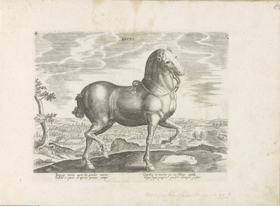 Paard uit Engeland Brito (otsikko esineessä) Paardenrassen uit de Koninklijke stallen van Don Juan van Oostenrijk (sarjan nimi) Hevonen, jossa kaikenlaisia ​​aatelisia: eri puolilta maailmaa erottuneiden hevosten käyttäytyminen valittu (...) (sarjan nimi o tekijältä Anonymous