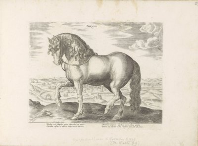 Paard uit Friesland Phryso (otsikko esineessä) Paardenrassen uit de Koninklijke stallen van Don Juan van Oostenrijk (sarjan nimi) Hevonen, jossa kaikenlaisia ​​aatelisia: eri puolilta maailmaa erottuneiden hevosten käyttäytyminen valittu (...) (sarjan nimi tekijältä Anonymous