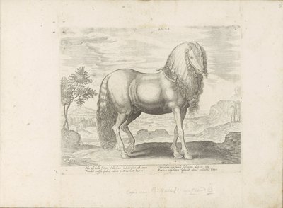Paard uit Roemenië (hollanti) Dacus (otsikko esineessä) Paardenrassen uit de Koninklijke stallen van Don Juan van Oostenrijk (sarjan nimi) Hevonen, jossa kaikenlaisia ​​aatelisia: eri puolilta maailmaa erottuneiden hevosten käyttäytyminen valittu (...) (sa tekijältä Anonymous