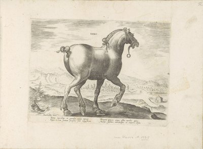 Paard uit Saksen Saxo (otsikko esineessä) Paardenrassen uit de Koninklijke stallen van Don Juan van Oostenrijk (sarjan nimi) Hevonen, jossa kaikenlaisia ​​aatelisia: eri puolilta maailmaa erottuneiden hevosten käyttäytyminen valittu (...) (sarjan nimi esin tekijältä Anonymous