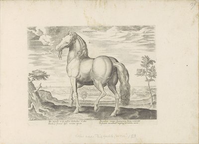 Paard Sardiniasta Sardonicus (nimi esineessä) Paardenrassen uit de Koninklijke stallen van Don Juan van Oostenrijk (sarjan nimi) Hevonen, jossa kaikenlaisia ​​aatelisia: eri puolilta maailmaa erottuneiden hevosten käyttäytyminen valittu (...) (sarjan nimi  tekijältä Anonymous