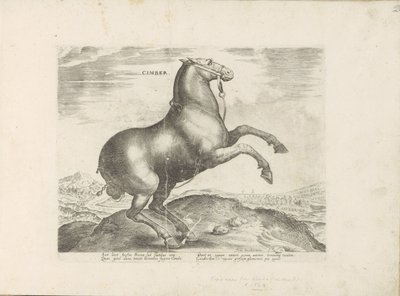 Paard uit Scythia Cimber (otsikko esineessä) Paardenrassen uit de Koninklijke stallen van Don Juan van Oostenrijk (sarjan nimi) Hevonen, jossa kaikenlaisia ​​aatelisia: eri puolilta maailmaa erottuneiden hevosten käyttäytyminen valittu (...) (sarjan nimi o tekijältä Anonymous
