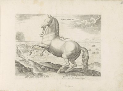 Paard uit Spanje Espanjan hevonen (otsikko esineessä) Paardenrassen uit de Koninklijke stallen van Don Juan van Oostenrijk (sarjan nimi) Hevonen, johon on valittu kaikenlaisia ​​aatelisia: eri puolilta maailmaa erottuvien hevosten käytöstapoja (...) (sarja tekijältä Anonymous