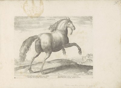 Paard uit Spanje espanja (otsikko esineessä) Paardenrassen uit de Koninklijke stallen van Don Juan van Oostenrijk (sarjan nimi) Hevonen, jossa kaikenlaisia ​​aatelisia: eri puolilta maailmaa erottuneiden hevosten käyttäytyminen valittu (...) (sarjan nimi o tekijältä Anonymous