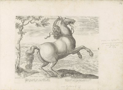 Paard uit Toscane Toscana (otsikko esineessä) Hevonen, jossa kaikenlaisia ​​aatelisia: eri puolilta maailmaa erottuneiden hevosten käyttäytyminen valittu (...) (sarjan nimi esineellä) tekijältä Anonymous