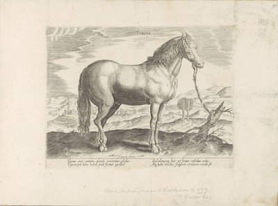 Paard uit Turkije turkki (otsikko esineessä) Paardenrassen uit de Koninklijke stallen van Don Juan van Oostenrijk (sarjan nimi) Hevonen, jossa kaikenlaisia ​​aatelisia: eri puolilta maailmaa erottuneiden hevosten käyttäytyminen valittu (...) (sarjan nimi o tekijältä Anonymous