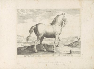 Paard uit Vlaanderen Flanderi (otsikko esineessä) Paardenrassen uit de Koninklijke stallen van Don Juan van Oostenrijk (sarjan nimi) Hevonen, jossa kaikenlaisia ​​aatelisia: eri puolilta maailmaa erottuneiden hevosten käyttäytyminen valittu (...) (sarjan n tekijältä Anonymous
