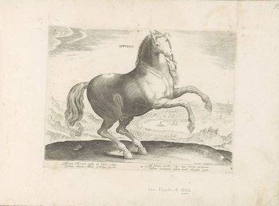Paard uit Zuid-Italia Appulus (otsikko esineessä) Paardenrassen uit de Koninklijke stallen van Don Juan van Oostenrijk (sarjan nimi) Hevonen, jossa kaikenlaisia ​​aatelisia: eri puolilta maailmaa erottuneiden hevosten käyttäytyminen valittu (...) (sarjan n tekijältä Anonymous