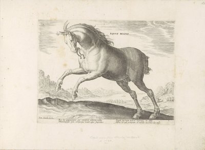 Paard van het ras Royal Horse (de Koninklijke) Kuninkaallinen hevonen (nimi esineessä) Paardenrassen uit de Koninklijke stallen van Don Juan van Oostenrijk (sarjan nimi) Hevonen, jossa kaikenlaisia ​​aatelisia: erottuu eri puolilta maailmaa kotoisin olevie tekijältä Anonymous