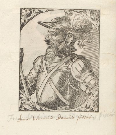 Muotokuva van Fernando d