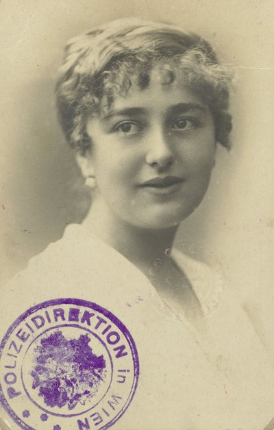 Elsa Silbersteinin ajokortti tekijältä Anonymous