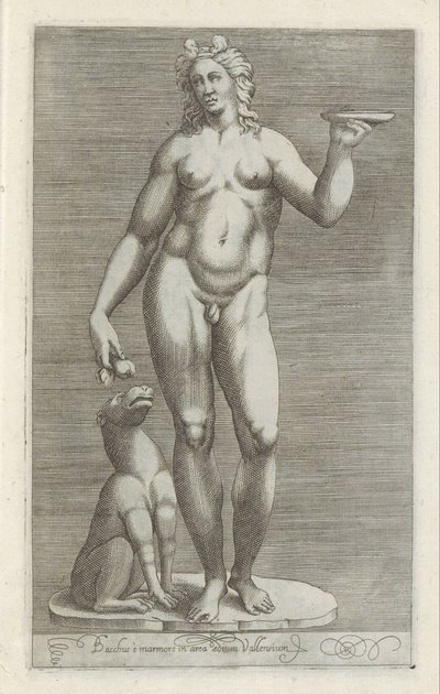 Sculptuur van Bacchus en een hond Bacchus ja marmori Vallensin palatsin alueella (otsikko esineessä) Antiikkiveistoksia Roomassa (sarjan nimi) Ikonit Rooman kaupungin muinaisista patsaista, joita nähdään julkisilla paikoilla (sarjan nimi) tekijältä Anonymous