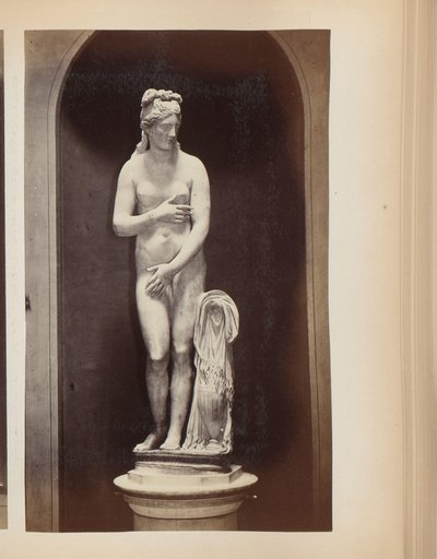 Escultura de Venus als Museus Capitolins de Roma, Itàlia finès tekijältä Anonymous