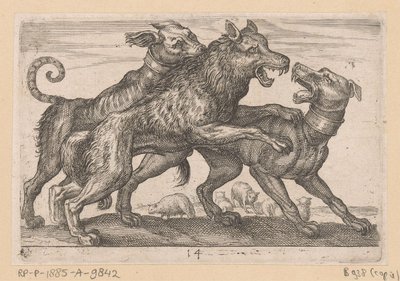 Kaksi koiraa taistelevat suden kanssa Fighting Animals (kopiot) (sarjan nimi) tekijältä Anonymous