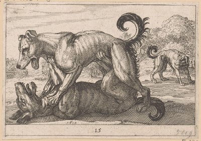 Kaksi parittelu- ja kaksi taistelukoiraa Fighting Animals (kopiot) (sarjan nimi) tekijältä Anonymous