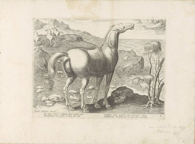 Zephyrus bevrucht een merrie Paardenrassen uit de Koninklijke stallen van Don Juan van Oostenrijk (sarjan nimi) Hevonen, jossa kaikenlaisia ​​aatelisia: eri puolilta maailmaa erottuneiden hevosten käyttäytyminen valittu (...) (sarjan nimi esineellä) tekijältä Anonymous