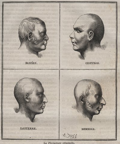 Criminal Phrenology in Brest Bagne (muotokuvia, jotka kuvaavat erityyppisten rikollisten fysiologisia ominaisuuksia). Pierre Zacconen (1817-1895) kaiverrus kirjaan ”Vankien historia heidän luomisestaan ​​nykypäivään” (1877) (Colonia Penale - Penal tekijältä Anonymous Anonymous