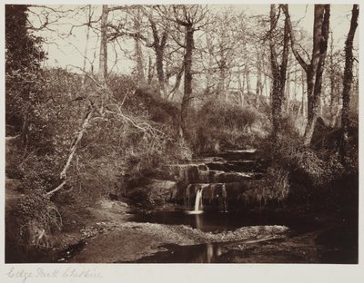 Edge Park, Cheshire, n.1865 (valokuva lasinegatiivista). tekijältä Anonymous Anonymous