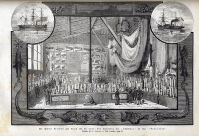 Näyttely Pariisin luonnontieteellisessä museossa risteilyjen aikana muodostuneista kokoelmista - Työläisen ja Talismanin tieteelliset tutkimusmatkat vuosina 1880 tekijältä Anonymous Anonymous