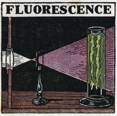 Fluoresenssi: todiste kappaleiden fluoresenssista. Anonyymi kuvitus vuodelta 1925. Yksityiskokoelma. tekijältä Anonymous Anonymous