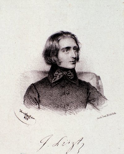 Unkarilaisen säveltäjän Franz Lisztin (1811-1886) muotokuva Kaiverrus. 1800-luvulla. Milanolainen yksityinen kokoelma tekijältä Anonymous Anonymous