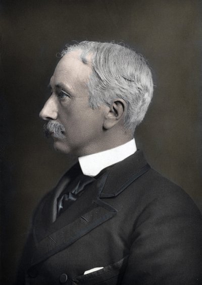 Muotokuva Marechal varakreivi Garnet Joseph Wolseleysta (1833-1913), Britannian armeijan komentaja tekijältä Anonymous Anonymous