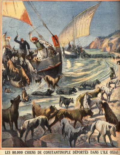 80 000 kulkukoiraa Konstantinopolista (Istanbul, Turkki) lähtee Oxiasin saarelle. Kaiverrus kirjassa "" Le petit parisien"" 8.7.1910. Yksityinen kokoelma. tekijältä Anonymous Anonymous