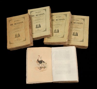 The Complete Artworks of Buffon (1707 - 1788) - yksityinen kokoelma tekijältä Anonymous Anonymous