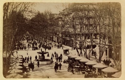 Marseillen kaupunki ja sen ympäristö noin 1885-1890: Kukkakävely, Saint Louisin kurssit, yksityinen kokoelma tekijältä Anonymous Anonymous