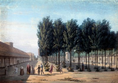 Näkymä Paisiblesin pihalle Bicetren saattokodissa Mielisairaiden kävely sairaalassa 1824. Nimetön guassi. Pariisi, Musee Carnavalet tekijältä Anonymous Anonymous