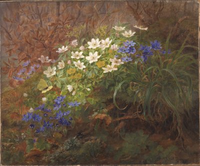 Anemones tekijältä Anthonie Christensen