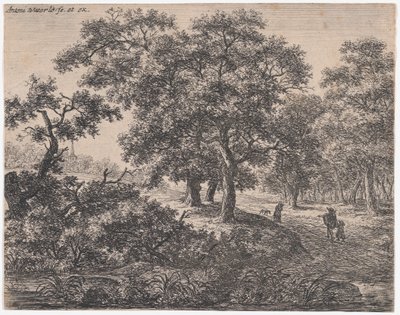 Kolme puuta, 1600-luku. tekijältä Anthonie Waterloo