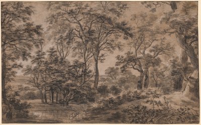 Metsäinen maisema tekijältä Anthonie Waterloo